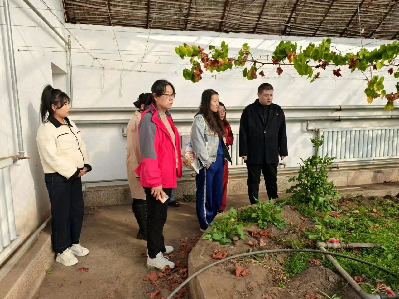微信图片_20250324162745.jpg